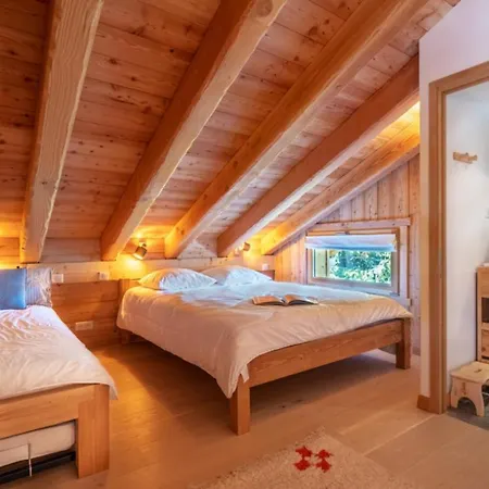 Sublime Semi Detached Facing The Mont Blanc Chalet Chamonix