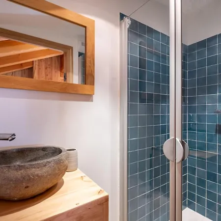 Sublime Semi Detached Facing The Mont Blanc Chalet Chamonix