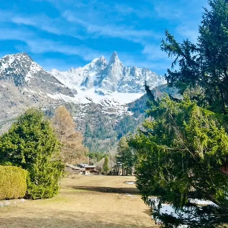 De Printemps Vue Mont-blanc Cosy *