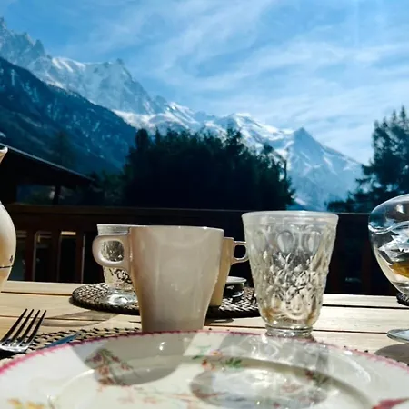 De Printemps Vue Mont-blanc Cosy Chalet *